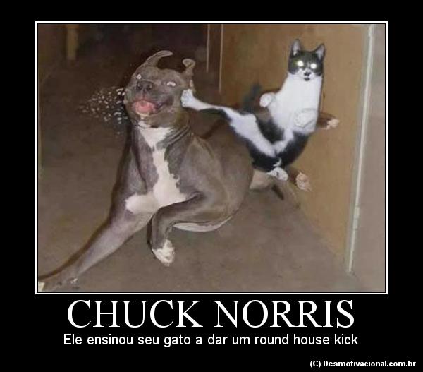 http://www.desmotivacional.com.br/wp-content/uploads/2009/10/wpid-27-chuck-norris.jpg