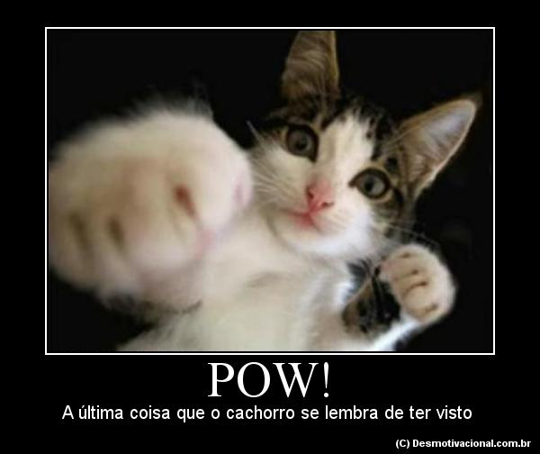 POW! - A última coisa que o cachorro se lembra de ter visto