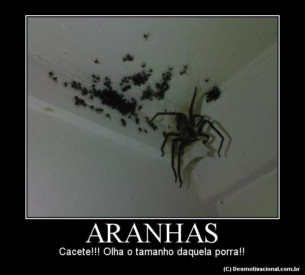 Aranhas - Cacete!!! Olha o tamanho daquela porra!!