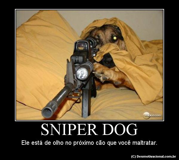 sniper-dog-45541
