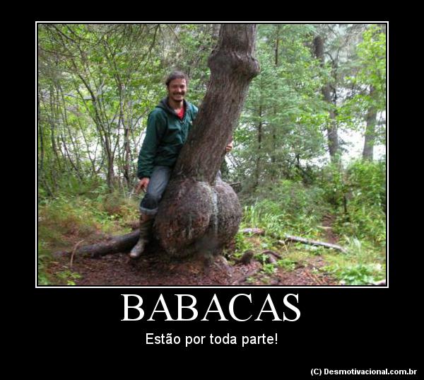 babacas-65861