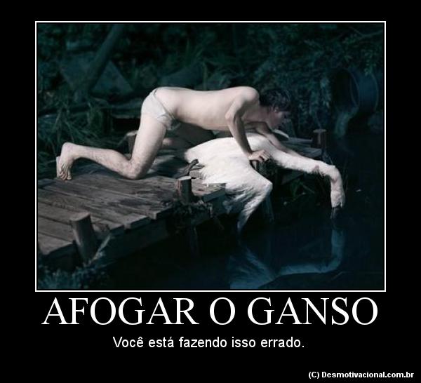 afogar-o-ganso-70952